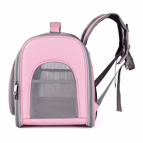 Mochila transparente portátil para animais de estimação com capa dourada